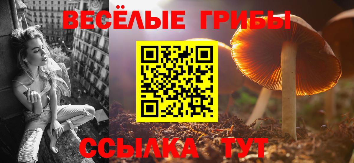 Псилоцибиновые грибы мухоморы Надым